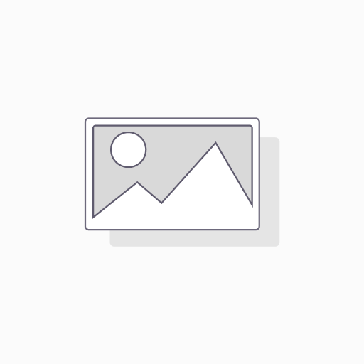 348 Parallel Shaft DC Motor
